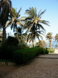 Thumb for 42-bissau-dakar, why.jpg (262 KB)